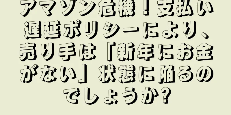 アマゾン危機！支払い遅延ポリシーにより、売り手は「新年にお金がない」状態に陥るのでしょうか?