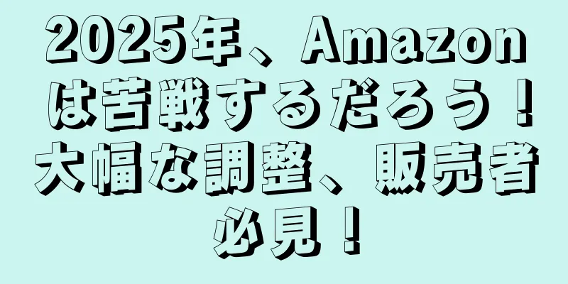 2025年、Amazonは苦戦するだろう！大幅な調整、販売者必見！