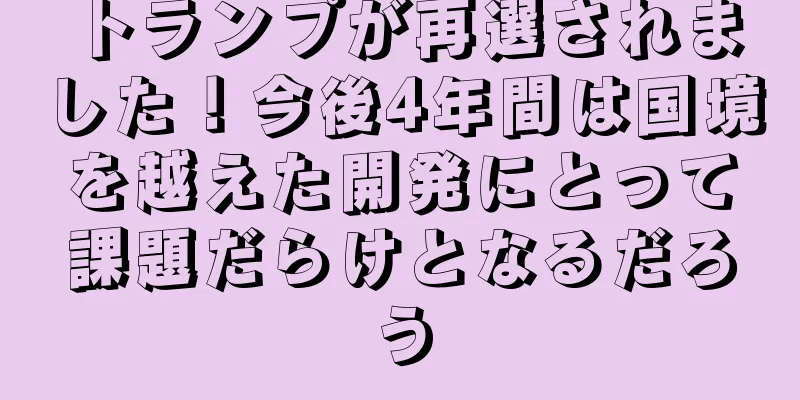トランプが再選されました！今後4年間は国境を越えた開発にとって課題だらけとなるだろう
