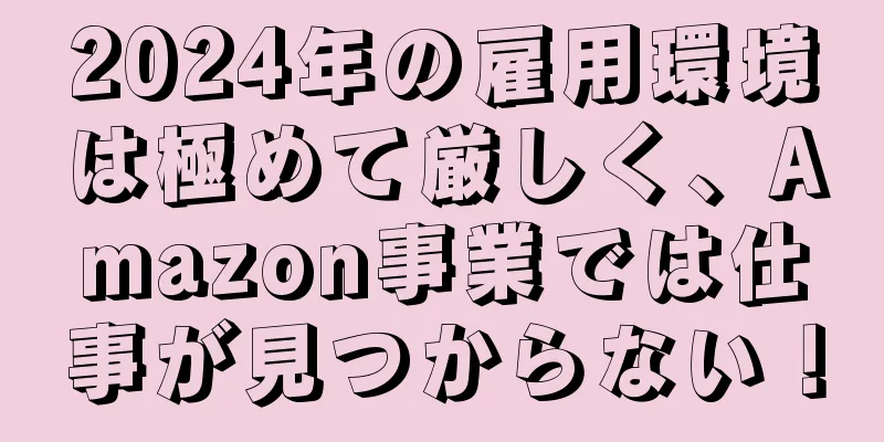 2024年の雇用環境は極めて厳しく、Amazon事業では仕事が見つからない！