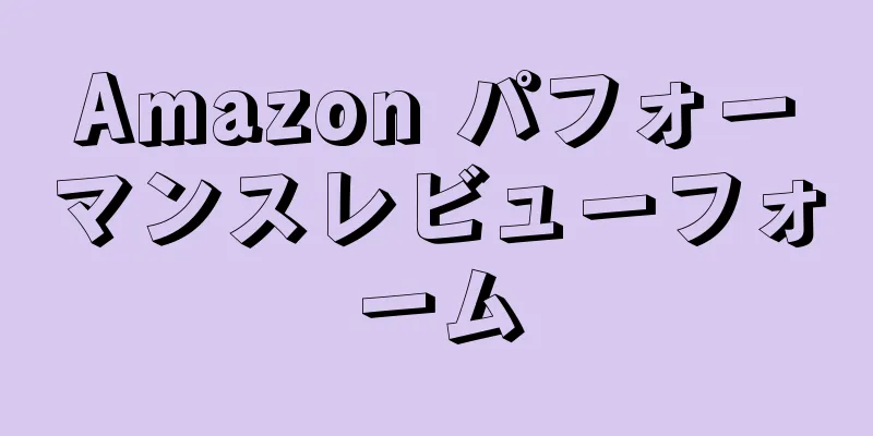 Amazon パフォーマンスレビューフォーム