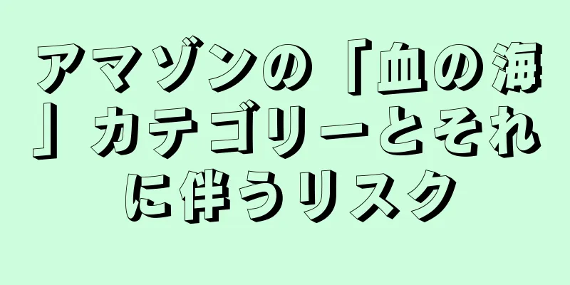 アマゾンの「血の海」カテゴリーとそれに伴うリスク