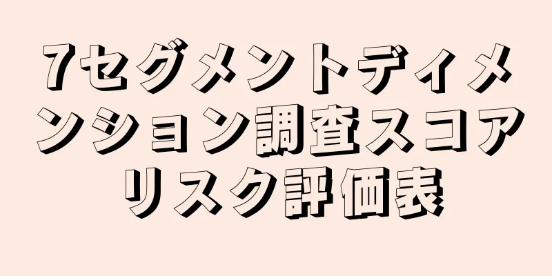7セグメントディメンション調査スコアリスク評価表