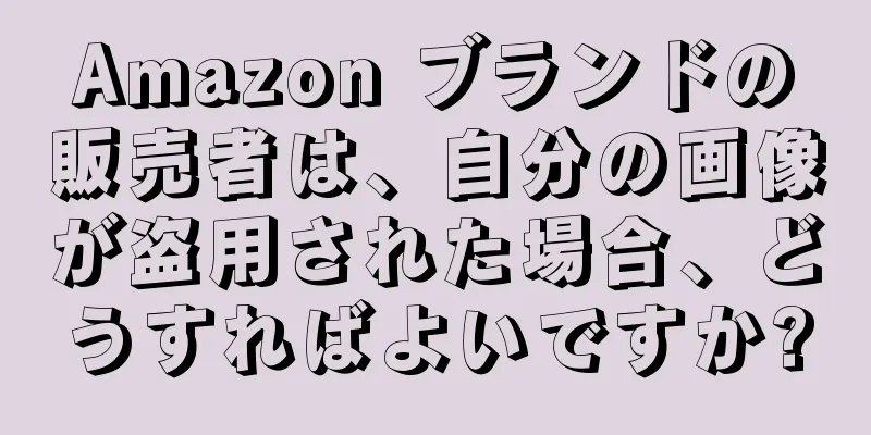 Amazon ブランドの販売者は、自分の画像が盗用された場合、どうすればよいですか?
