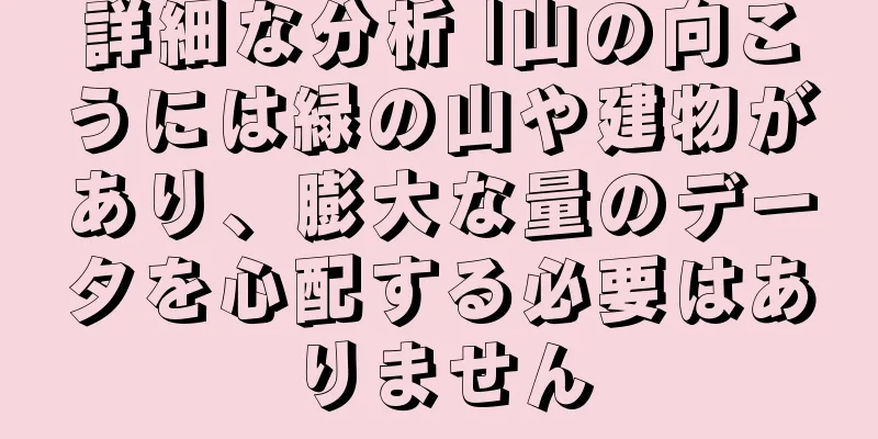 詳細な分析 |山の向こうには緑の山や建物があり、膨大な量のデータを心配する必要はありません