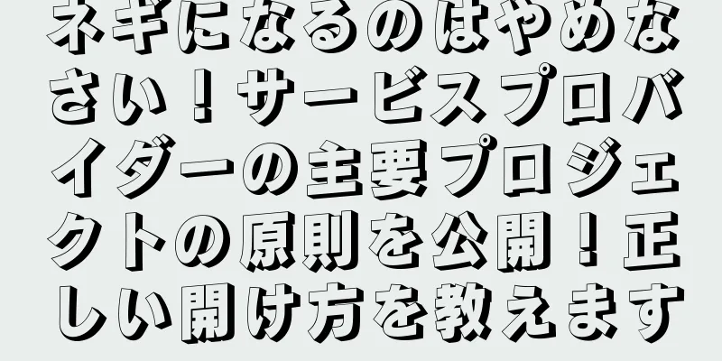 ネギになるのはやめなさい！サービスプロバイダーの主要プロジェクトの原則を公開！正しい開け方を教えます