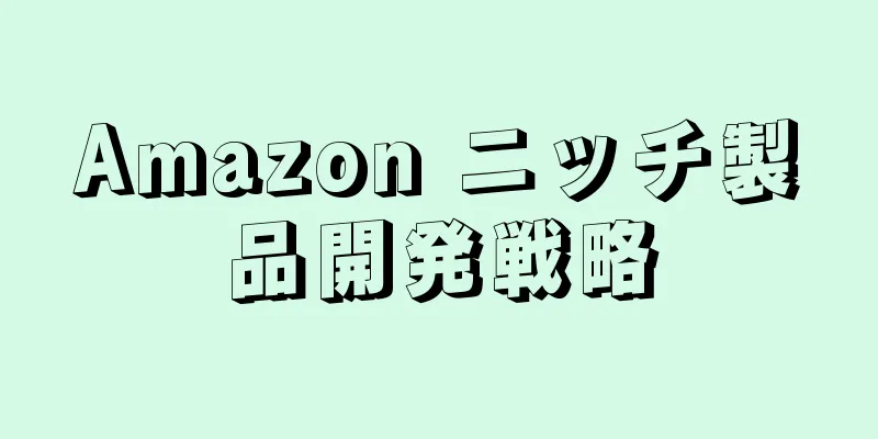 Amazon ニッチ製品開発戦略