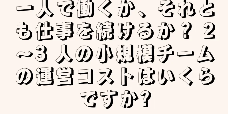 一人で働くか、それとも仕事を続けるか？ 2〜3 人の小規模チームの運営コストはいくらですか?