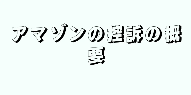 アマゾンの控訴の概要