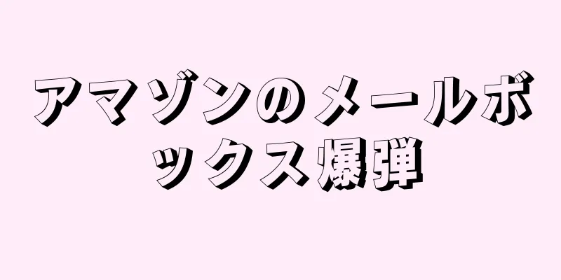 アマゾンのメールボックス爆弾