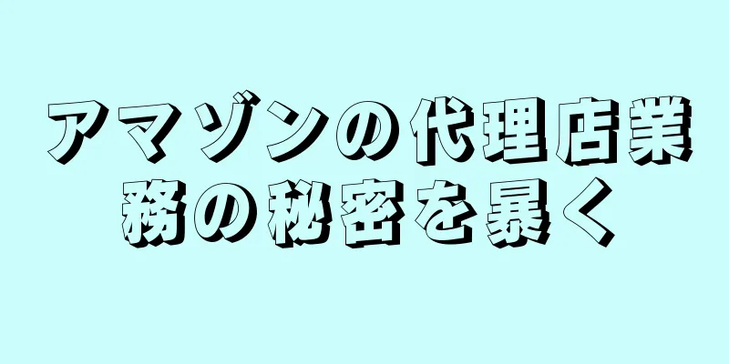 アマゾンの代理店業務の秘密を暴く