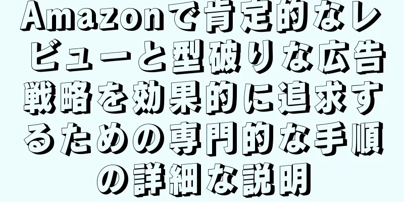 Amazonで肯定的なレビューと型破りな広告戦略を効果的に追求するための専門的な手順の詳細な説明