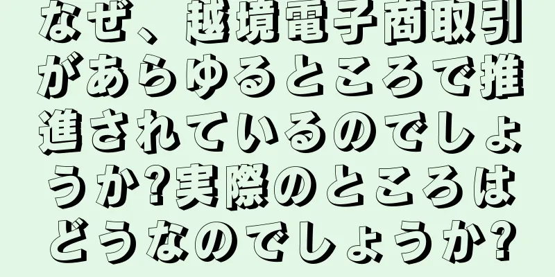 なぜ、越境電子商取引があらゆるところで推進されているのでしょうか?実際のところはどうなのでしょうか?