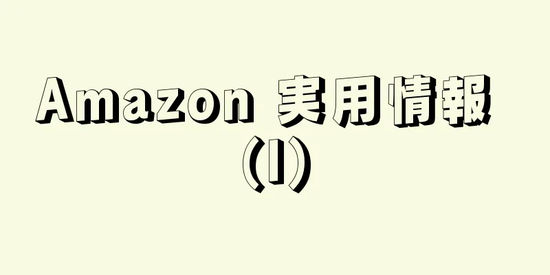 Amazon 実用情報 (I)