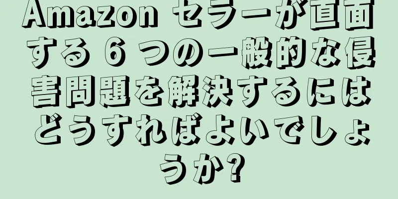 Amazon セラーが直面する 6 つの一般的な侵害問題を解決するにはどうすればよいでしょうか?