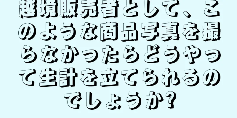 越境販売者として、このような商品写真を撮らなかったらどうやって生計を立てられるのでしょうか?