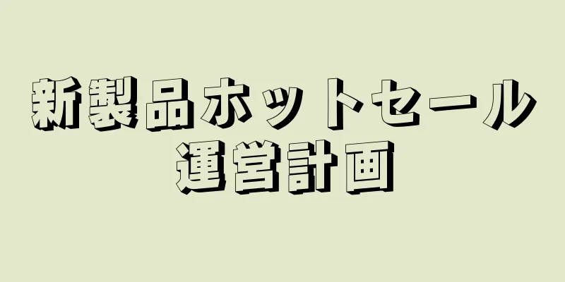新製品ホットセール運営計画
