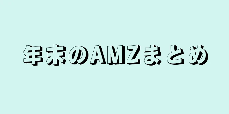 年末のAMZまとめ