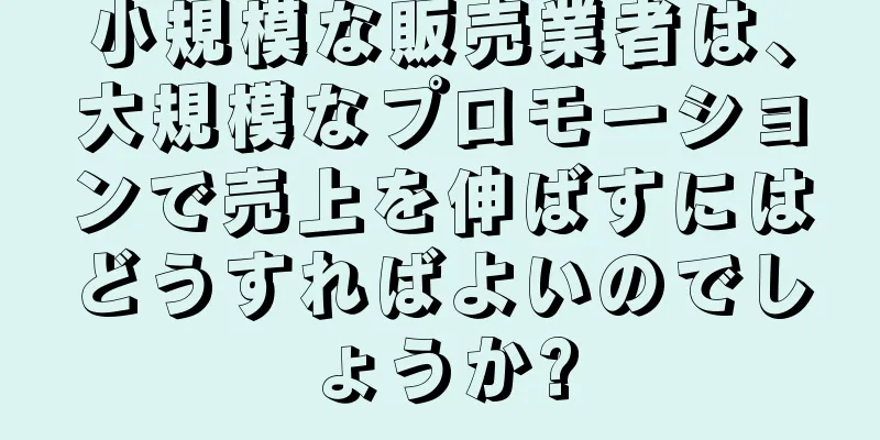 小規模な販売業者は、大規模なプロモーションで売上を伸ばすにはどうすればよいのでしょうか?
