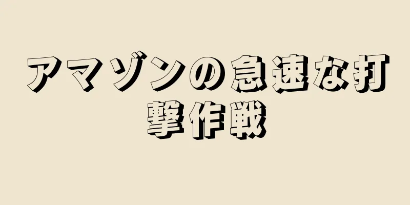 アマゾンの急速な打撃作戦