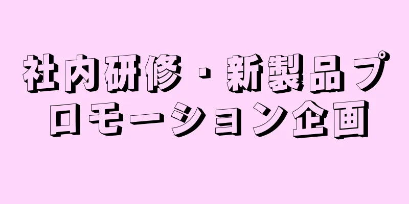 社内研修・新製品プロモーション企画