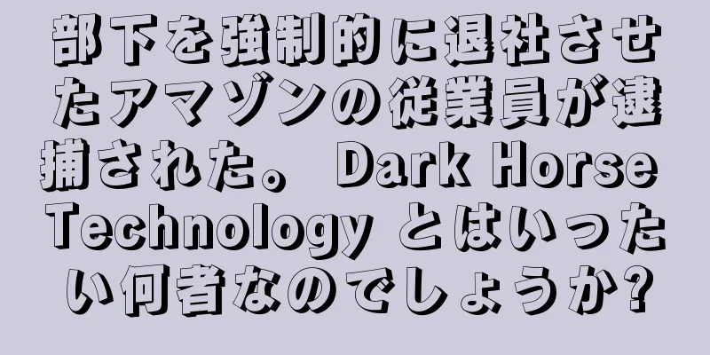 部下を強制的に退社させたアマゾンの従業員が逮捕された。 Dark Horse Technology とはいったい何者なのでしょうか?