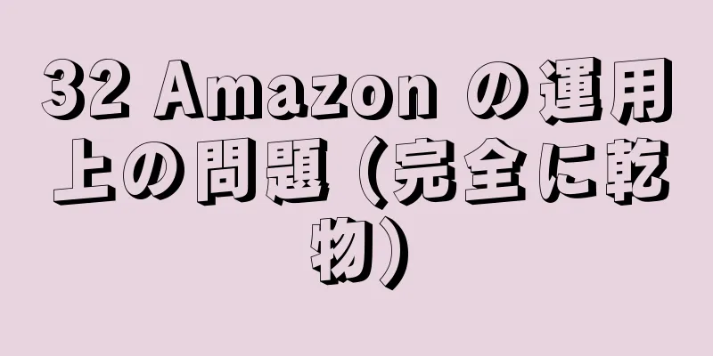 32 Amazon の運用上の問題 (完全に乾物)