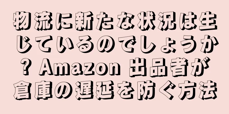 物流に新たな状況は生じているのでしょうか? Amazon 出品者が倉庫の遅延を防ぐ方法