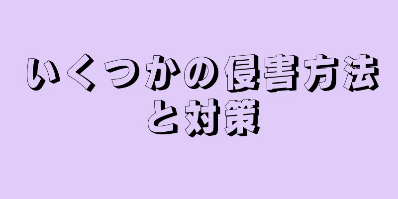 いくつかの侵害方法と対策